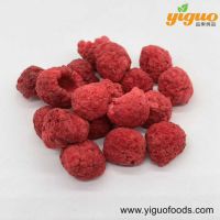 青島宜果凍干出口工廠凍干水果凍干樹莓整粒、樹莓丁、樹莓粉烘焙飲品麥片酸奶蓋